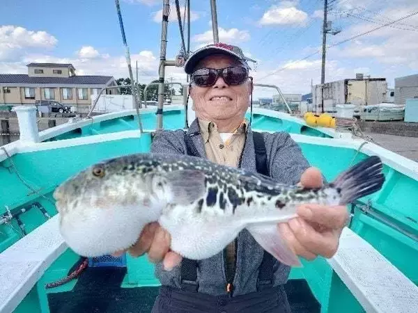 【釣果速報】千葉県利永丸はショウサイフグ＆トラフグが好調！秋晴れの中、ヒット＆キャッチ多数！チャンスの多い今、ぜひ乗船を！