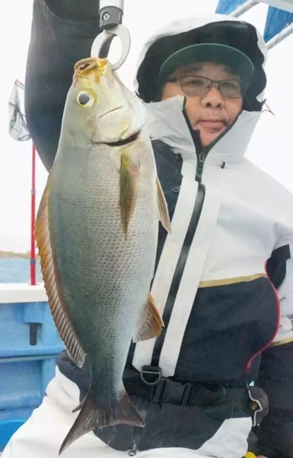 「待ってました大イサキ！ 洲ノ崎沖で快釣スタート」の画像