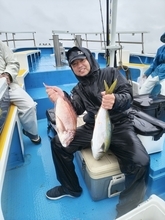 【釣果速報】雨風のなか1.50kgマダイ＆3.20kgワラサGET！神奈川県成銀丸で人気魚の強烈な引きを感じよう！