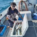 「【釣果速報】福岡県明石丸でスペシャルゲストの極太クエキャッチ！あなたも今すぐ自己最高記録を更新しに行こう！」の画像2