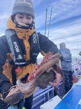 【釣果速報茨城県日立丸でマダコ順調に上がる！20匹以上ゲット！キロオーバーの良型も交じり好調！