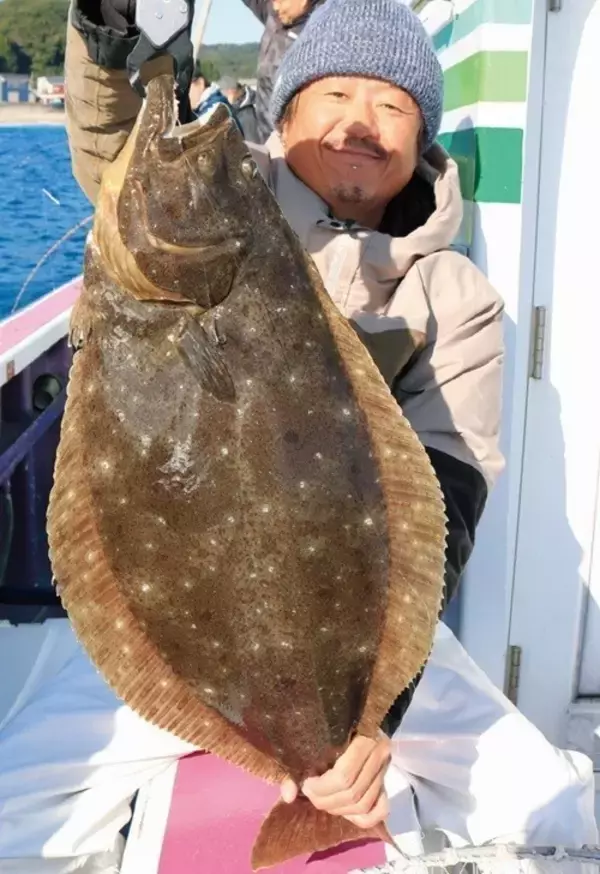 「浅場で大判ビラメが乱舞！スリリングなアジ泳がせ」の画像
