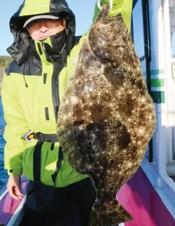 「浅場で大判ビラメが乱舞！スリリングなアジ泳がせ」の画像
