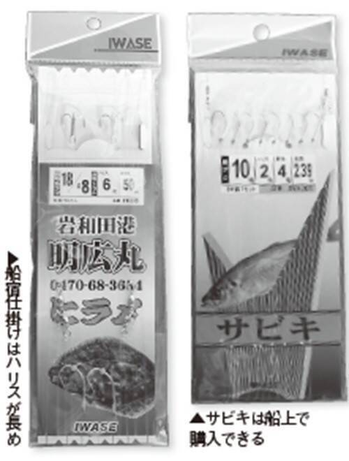 浅場で大判ビラメが乱舞！スリリングなアジ泳がせ