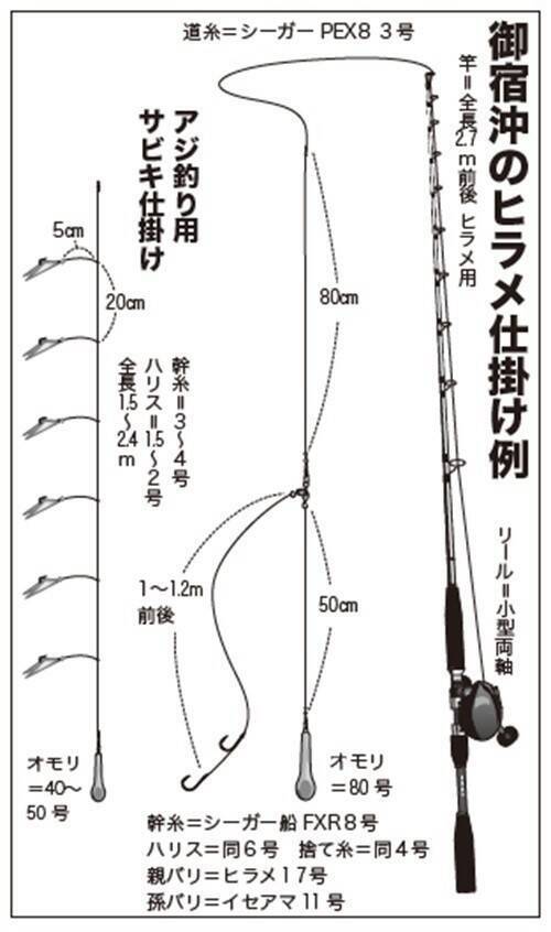 浅場で大判ビラメが乱舞！スリリングなアジ泳がせ