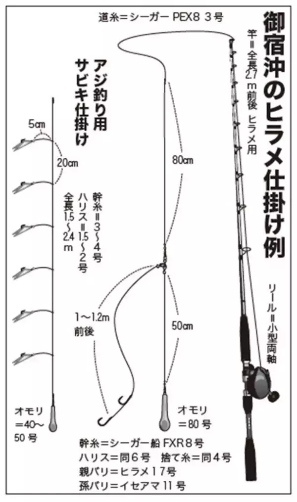 「浅場で大判ビラメが乱舞！スリリングなアジ泳がせ」の画像
