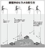 「浅場で大判ビラメが乱舞！スリリングなアジ泳がせ」の画像7