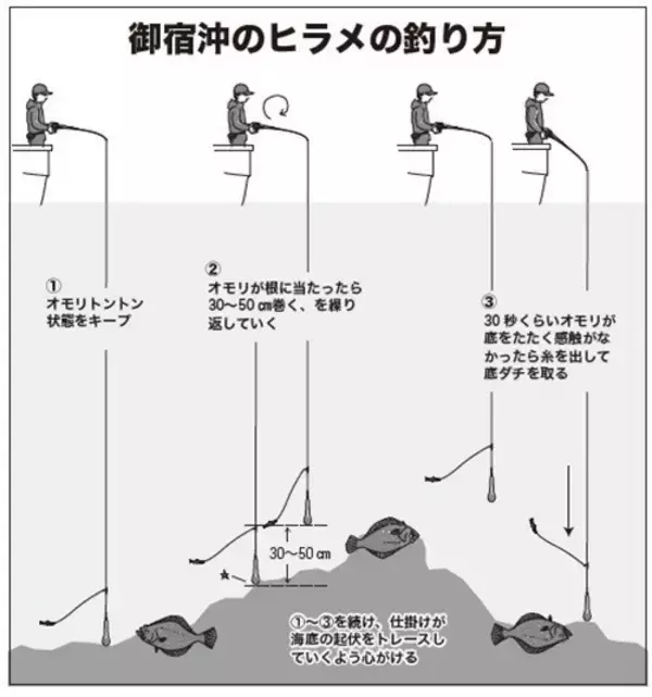「浅場で大判ビラメが乱舞！スリリングなアジ泳がせ」の画像