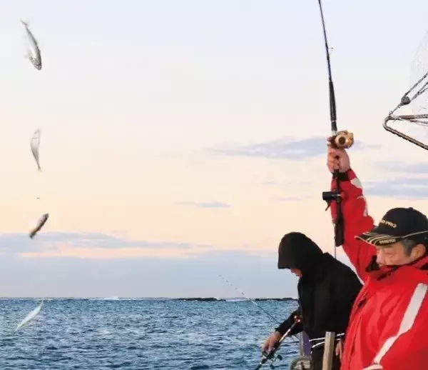 「浅場で大判ビラメが乱舞！スリリングなアジ泳がせ」の画像