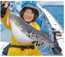 富浦沖に乗っ込み良型来襲トラフグを釣るなら今！