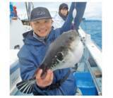 「富浦沖に乗っ込み良型来襲トラフグを釣るなら今！」の画像3