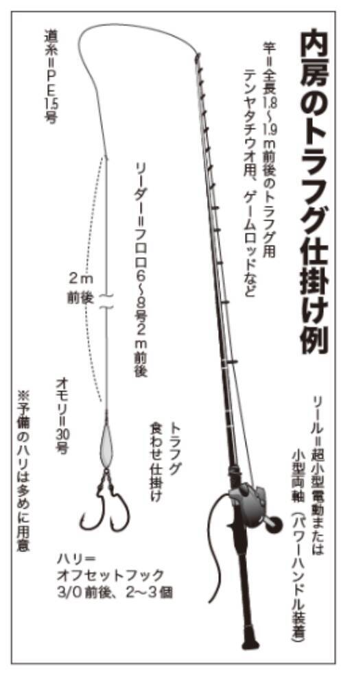 富浦沖に乗っ込み良型来襲トラフグを釣るなら今！