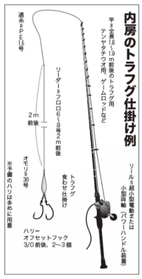 「富浦沖に乗っ込み良型来襲トラフグを釣るなら今！」の画像