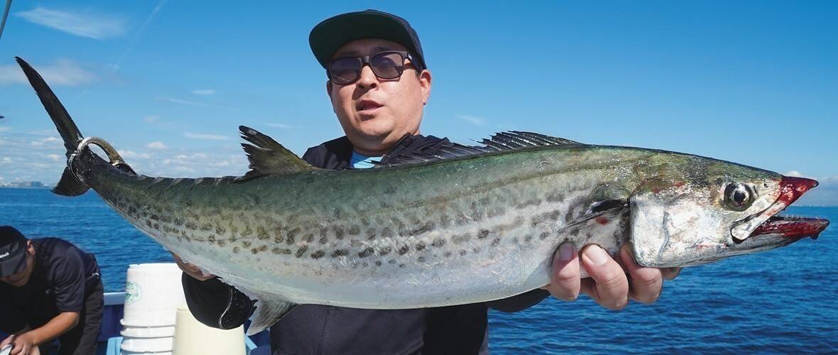 東京湾の人気ルアーゲーム　サワラキャスティングに大興奮