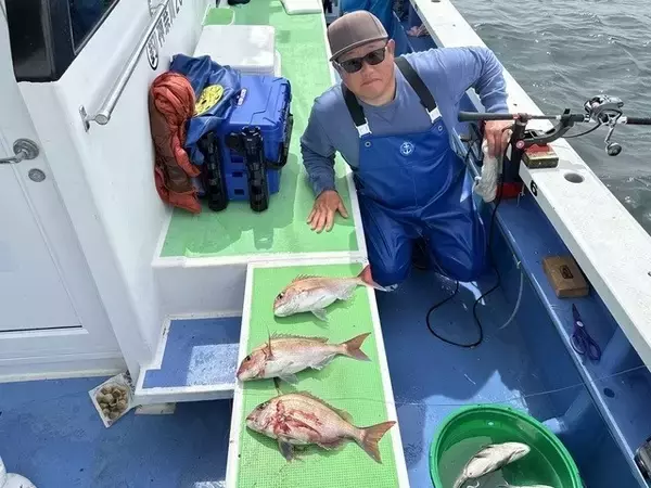 【釣果速報】神奈川県大松丸で5.20kgの大マダイ出た！連日安打継続中の今が乗りドキ！乗船するなら今でしょ！