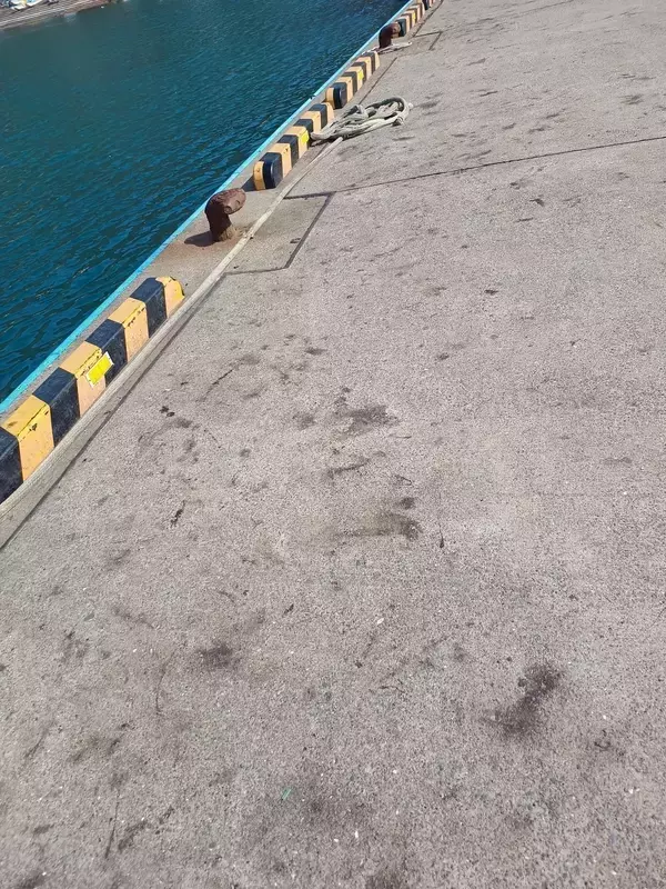 ライトエギング釣行記Vol.4～春の北海道遠征～