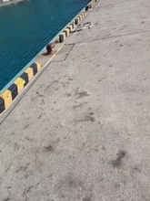 ライトエギング釣行記Vol.4～春の北海道遠征～