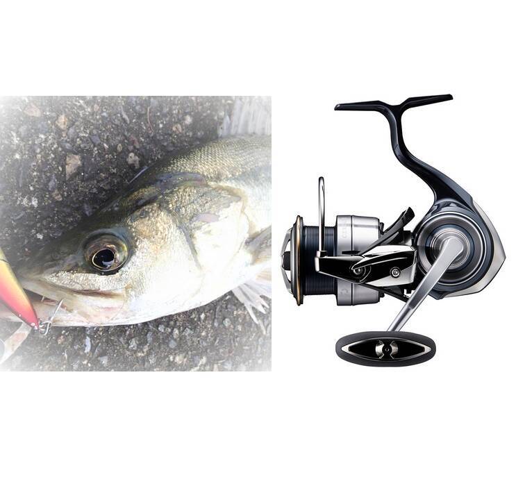 ダイワのシーバス用リール特集！おすすめの機種を選んでみた