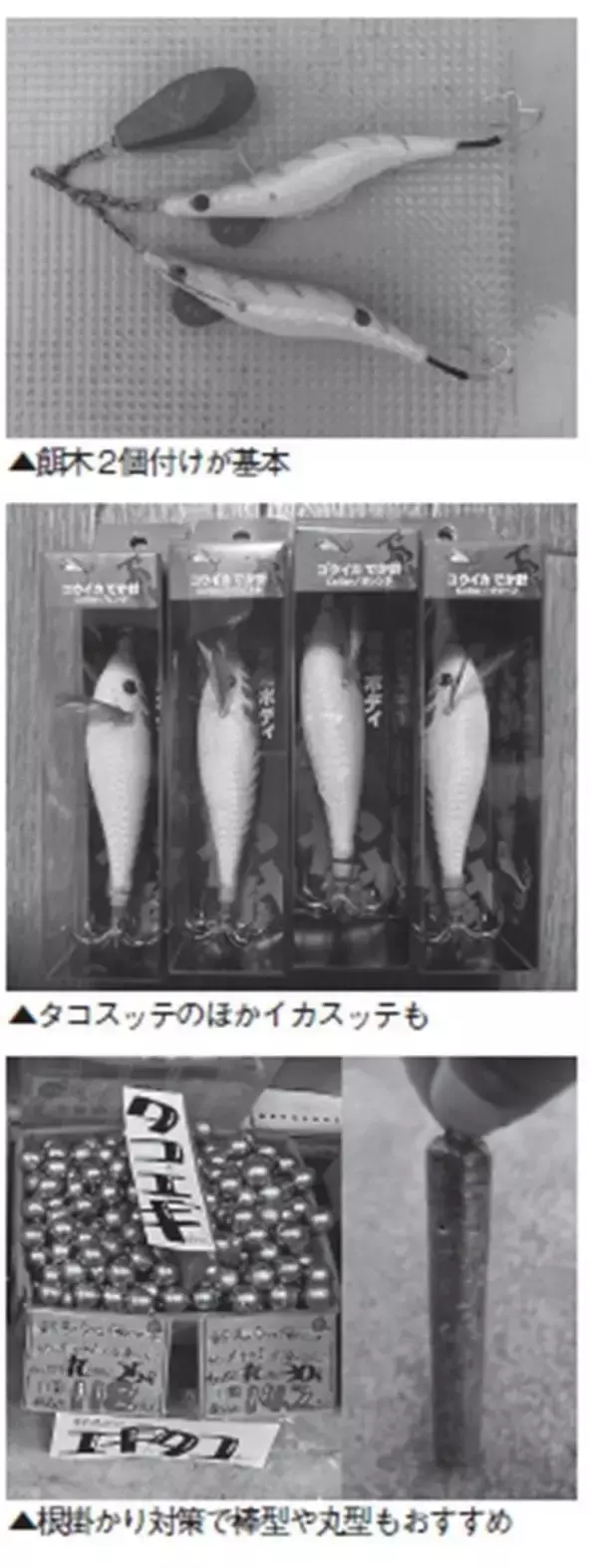 「平場で根掛かりの心配なし　那珂湊沖は好調な乗り継続！」の画像