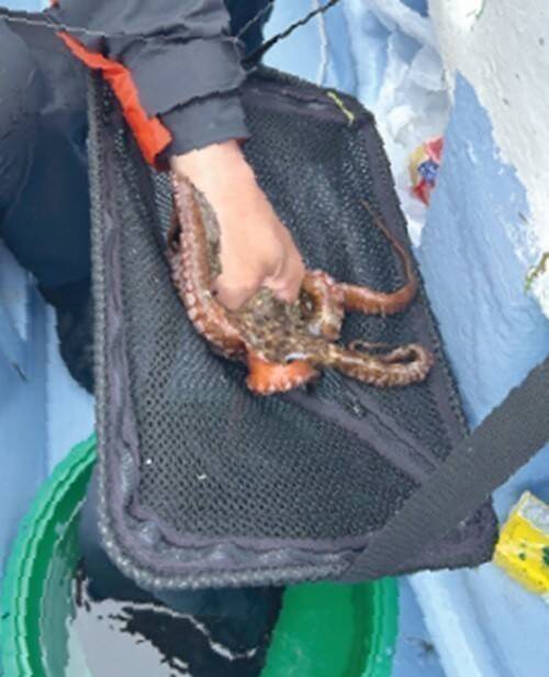 平場で根掛かりの心配なし　那珂湊沖は好調な乗り継続！