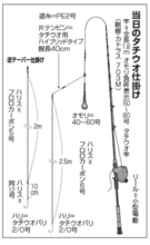 ヒットパターンを探るムズ面白いテンビン釣り