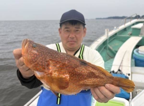 【釣果速報】神奈川県あまさけや丸でブリ・ヒラメ・ワラサあがる！キジハタ・イサキ・アジなどゲストも多種多様！充実の釣行をお約束します！