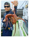 「昨年より断然湧きがいい！湾奥の夏ダコ好調継続中！」の画像1