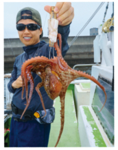 昨年より断然湧きがいい！湾奥の夏ダコ好調継続中！