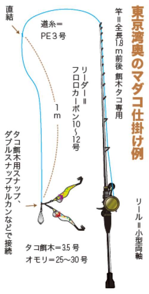 昨年より断然湧きがいい！湾奥の夏ダコ好調継続中！