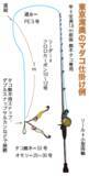 「昨年より断然湧きがいい！湾奥の夏ダコ好調継続中！」の画像2