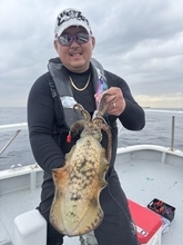【釣果速報】千葉県赤沼丸でアオリイカをキャッチ！最大2.50kg！あなたも千葉県赤沼丸でアオリイカを狙おう！
