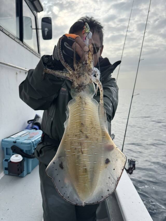 【釣果速報】千葉県赤沼丸でアオリイカをキャッチ！最大2.50kg！あなたも千葉県赤沼丸でアオリイカを狙おう！