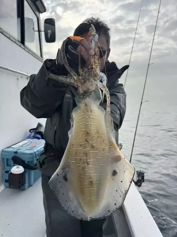 「【釣果速報】千葉県赤沼丸でアオリイカをキャッチ！最大2.50kg！あなたも千葉県赤沼丸でアオリイカを狙おう！」の画像
