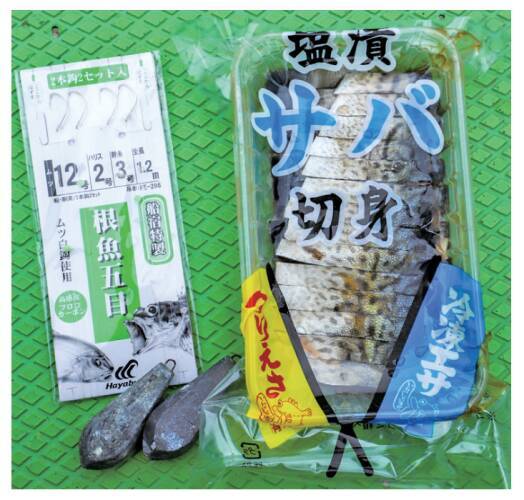 ゲストも魅力の浅場カサゴ手軽だけど奥深さもアリ！