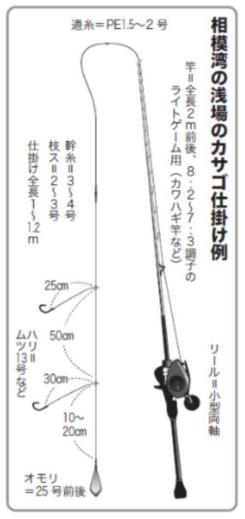 ゲストも魅力の浅場カサゴ手軽だけど奥深さもアリ！