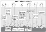 「ゲストも魅力の浅場カサゴ手軽だけど奥深さもアリ！」の画像6