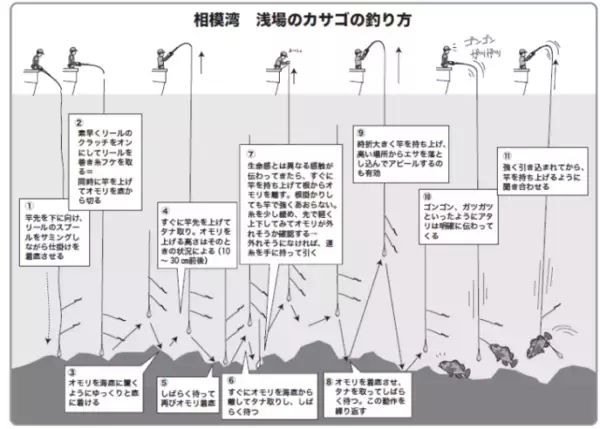 「ゲストも魅力の浅場カサゴ手軽だけど奥深さもアリ！」の画像