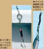 「南房まで群れ拡大　今こそ乗せまくれ！　スルメ絶好期突入へ」の画像3