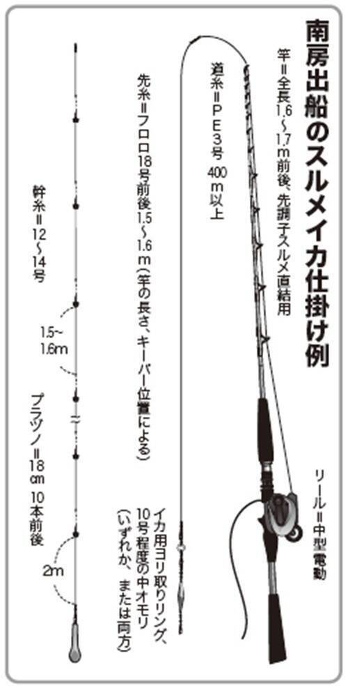 南房まで群れ拡大　今こそ乗せまくれ！　スルメ絶好期突入へ