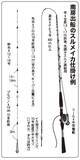 「南房まで群れ拡大　今こそ乗せまくれ！　スルメ絶好期突入へ」の画像4