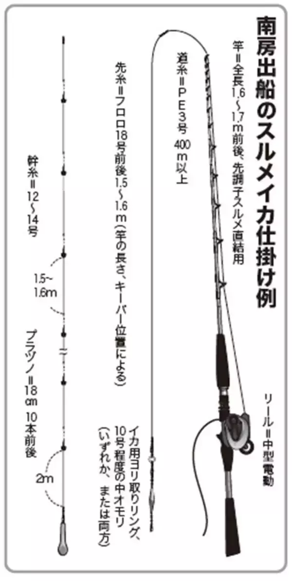 「南房まで群れ拡大　今こそ乗せまくれ！　スルメ絶好期突入へ」の画像