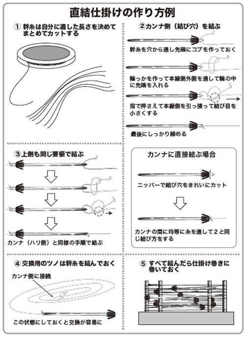 南房まで群れ拡大　今こそ乗せまくれ！　スルメ絶好期突入へ