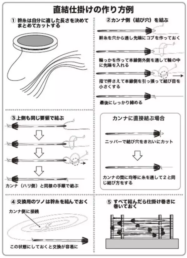 「南房まで群れ拡大　今こそ乗せまくれ！　スルメ絶好期突入へ」の画像