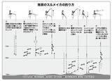 「南房まで群れ拡大　今こそ乗せまくれ！　スルメ絶好期突入へ」の画像6