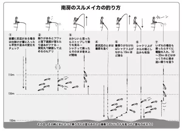 「南房まで群れ拡大　今こそ乗せまくれ！　スルメ絶好期突入へ」の画像