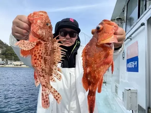 【釣果速報】超高級魚のオニカサゴ・カンコをGET！カンコはなんと12匹も！静岡県久寿丸の釣り物はどれも高価で美味と大好評！