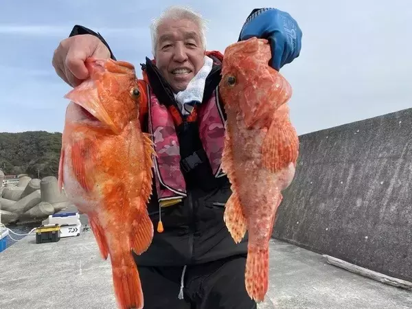 「【釣果速報】超高級魚のオニカサゴ・カンコをGET！カンコはなんと12匹も！静岡県久寿丸の釣り物はどれも高価で美味と大好評！」の画像