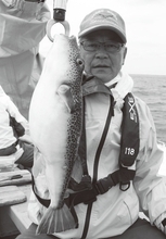 最大40cm超！鹿島沖のデカフグ