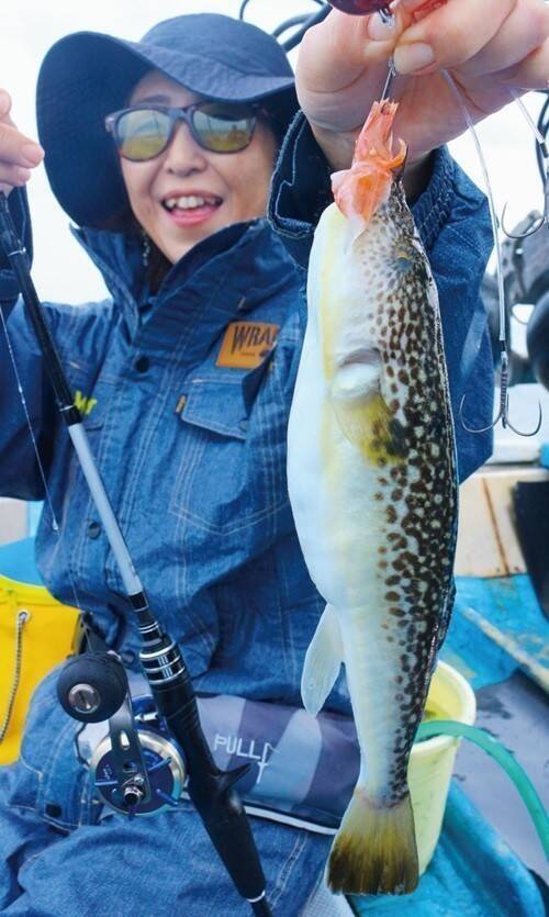 最大40cm超！鹿島沖のデカフグ