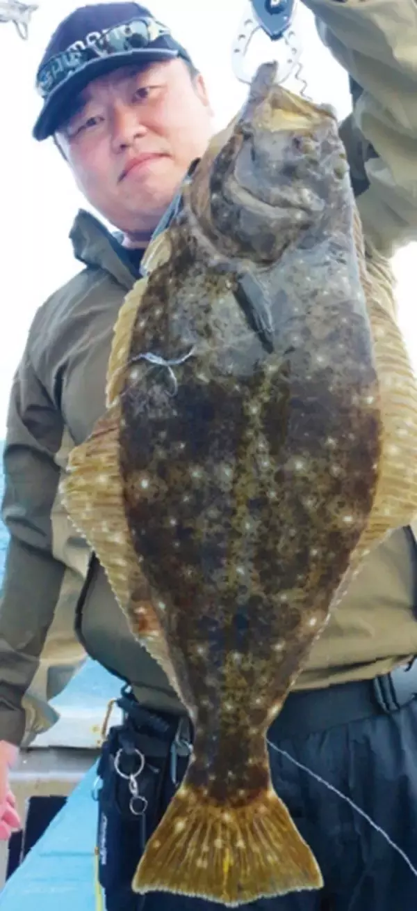 「最大40cm超！鹿島沖のデカフグ」の画像